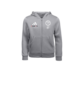 adidas Entrada26 Kapuzenjacke Kids Grau