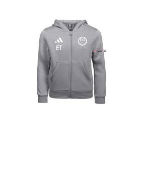 adidas Entrada26 Kapuzenjacke Kids Grau
