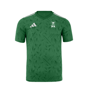 adidas Team Icon 25 Trikot Grün