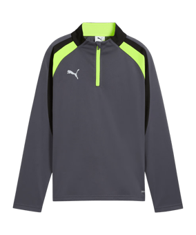 PUMA Sweatshirt Kids Grau F08 - grau