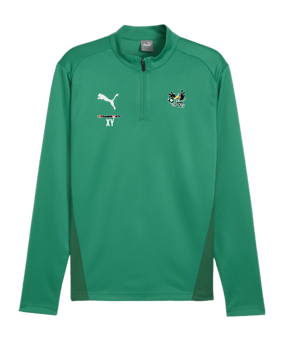 PUMA teamGOAL Training 1/4 Zip Sweatshirt Grün F05