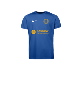 Nike Park VIII Trikot Kids Blau F463