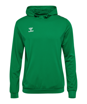 Hummel AUTHENTIC PL Hoody Grün F6235 - gruen