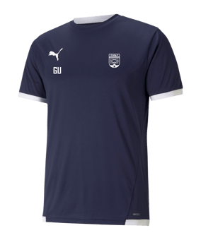 PUMA teamLIGA Trikot Blau F06