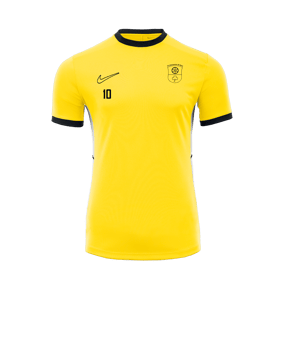 Nike Academy 25 Trainingsshirt Gelb F719