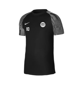 Nike Academy Trikot Schwarz Weiss F010