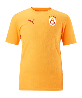 PUMA Galatasaray Istanbul Training T-Shirt Gelb F202 - gelb