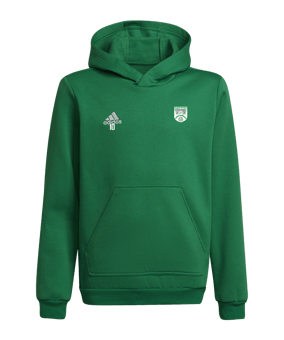 Sweat à capuche adidas Entrada 22 enfants vert 
