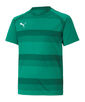 PUMA teamVISION Trikot Kids Grün F05 - gruen