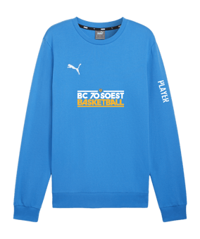 PUMA teamGOAL Casuals Sweatshirt Blau F02