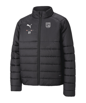 PUMA teamLIGA Padded Trainingsjacke Kids F03