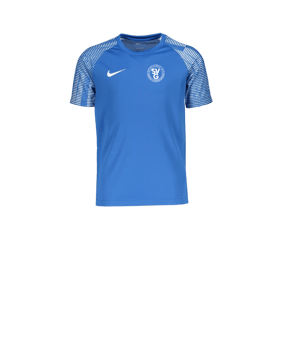 Nike Academy Trikot Kids Blau F463