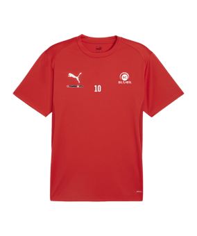 PUMA teamGOAL Trikot Rot F01