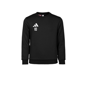 adidas Entrada 26 Sweatshirt Kids Schwarz