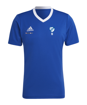 adidas Entrada 22 Trikot Blau Weiss