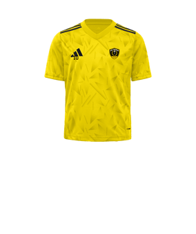adidas Team Icon 25 Maillot Enfants Jaune 