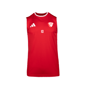 adidas Entrada 26 Sleeveless Trikot Weiß