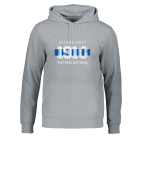 Merch Drummer 2.0 Hoody Heather Grey | #established