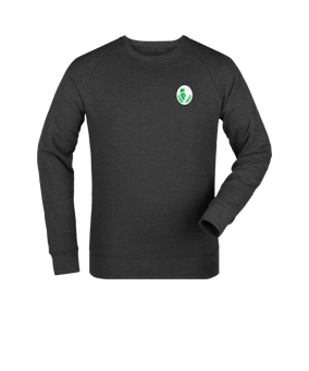 Merch Roller Sweatshirt Dark Heather Grey FC651