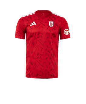adidas Team Icon 25 Trikot Rot