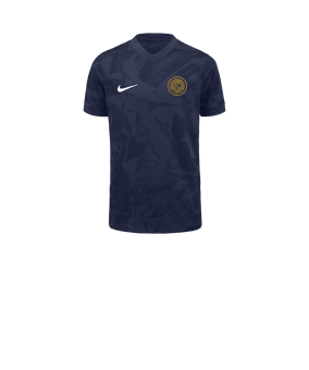 Nike Precision VII Trikot Kids Blau F410