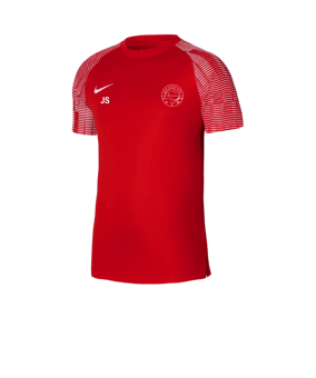 Nike Academy Trikot Rot Weiss F657