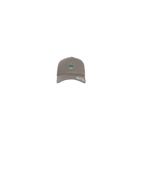 Merch 5 Panel Curved Snapback Cap Grey