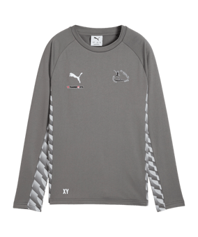 PUMA teamLIGA26 Training Sweatshirt Kids Grau F13