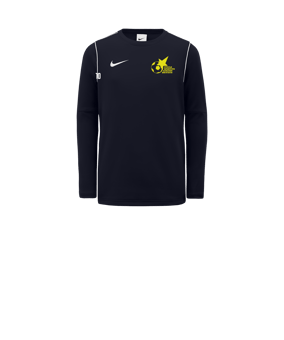 Sweatshirt enfant Nike Park 20 bleu blanc F451 