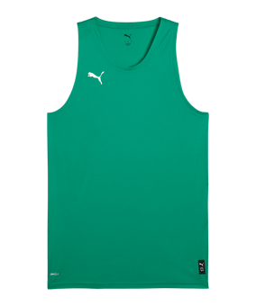 PUMA teamJAWS Starter Trikot Grün F010 - gruen
