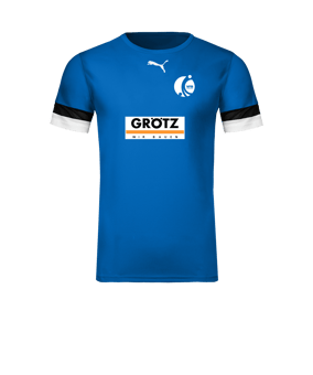 PUMA teamRISE Trikot Blau F02