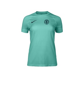 Nike Park VIII Trikot Damen Türkis F354