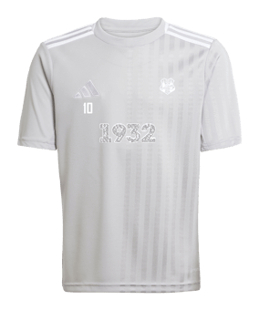 adidas Campeon 25 Trikot Kids Grau