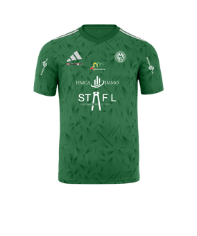adidas Team Icon 25 Trikot Grün