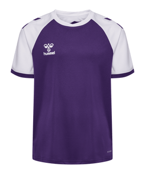Hummel Match League Trikot Kids Rot F3332 - rot