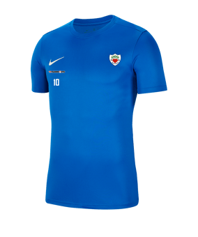 Nike Park VII Trikot kurzarm Kids Blau F463