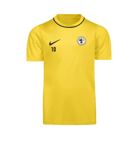 Nike Park 26 Trainingsshirt Kids Gelb F719
