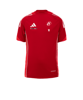 adidas Tiro 25 Competition Trainingsshirt Rot