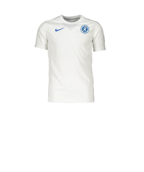 Nike Park VII Trikot Kids Weiss Blau F102