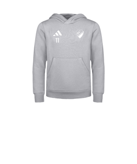 adidas Entrada 26 Hoody Kids Grau