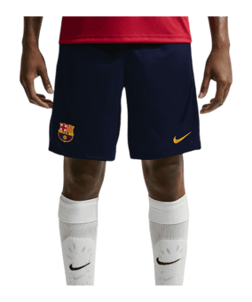 Nike FC Barcelona Strike Short Blau F498 - blau
