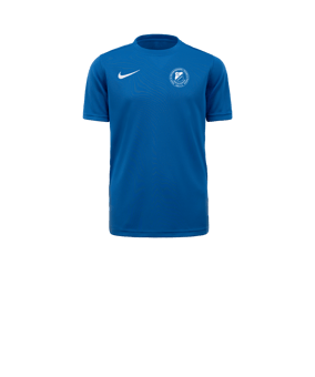 Nike Park VII Trikot kurzarm Kids Blau F463