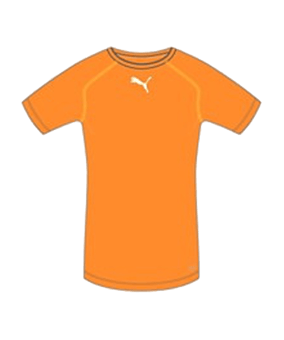 PUMA TB Shortsleeve Shirt Orange F08 - orange