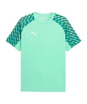 PUMA teamLIGA26 Trikot Grün F80 - gruen