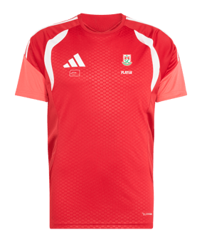 Wettkampf | adidas Tiro 26 Trikot Rot