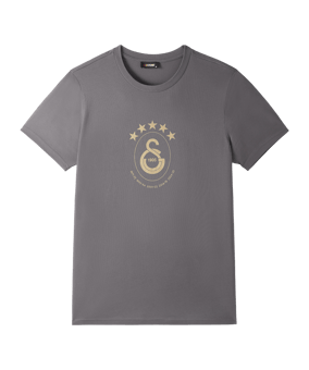Galatasaray Istanbul Galatasaray Istanbul 5 Stars T-Shirt Grau - grau