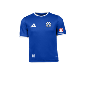 adidas Entrada 26 Trikot Kids Blau