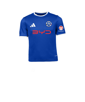 adidas Entrada 26 Trikot Kids Blau