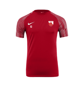 Nike Academy Trikot Rot Weiss F657