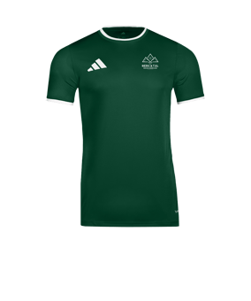 adidas Entrada 26 Trikot Grün